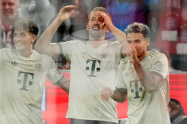 Germany Soccer Bundesliga