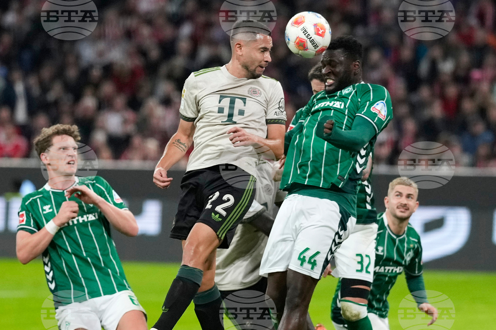 Germany Soccer Bundesliga