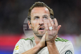 Germany Soccer Bundesliga