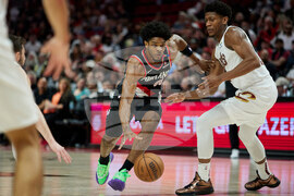 Trail Blazers Henderson Basketball