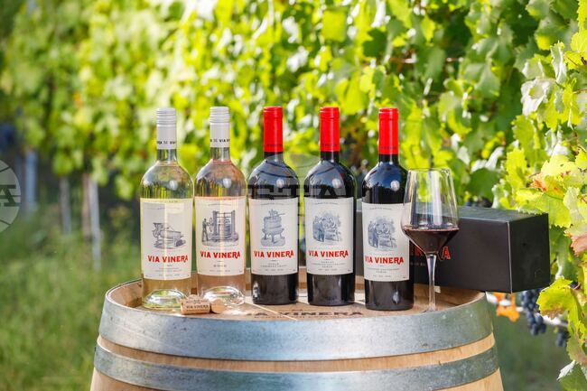 Via Vinera Karabunar Estate: Blending Craftsmanship and Modern Technology