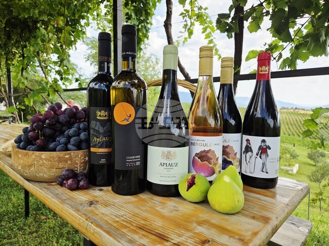 Villa Melnik: A Living Library of Melnik Grapes