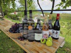 Село Хърсово - Вила „Мелник“