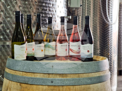 Село Смочево - винарна „Богдая“