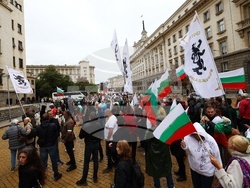 Партия „Възраждане“ - протест