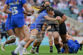 RWC New Zealand France Rugby