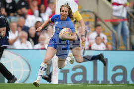 RWC New Zealand France Rugby