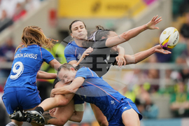 RWC New Zealand France Rugby