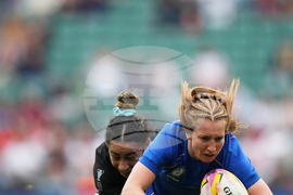 RWC New Zealand France Rugby