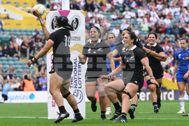 RWC New Zealand France Rugby