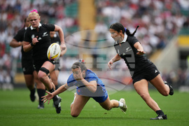 RWC New Zealand France Rugby