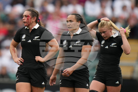 RWC New Zealand France Rugby