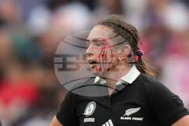 RWC New Zealand France Rugby