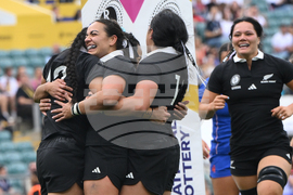 RWC New Zealand France Rugby