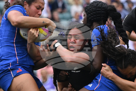 RWC New Zealand France Rugby