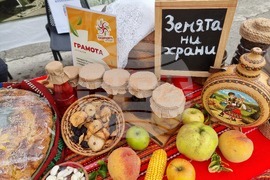 Кюстендил - „Празник на плодородието“