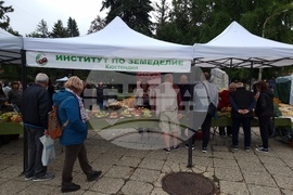 Кюстендил - „Празник на плодородието“