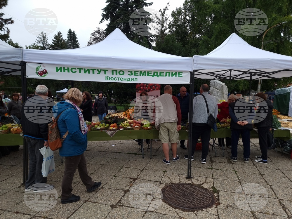 Кюстендил - „Празник на плодородието“