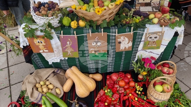 ХИНА: Производството на зеленчуци в Хърватия се e увеличило през 2025 г., а на плодове е намаляло