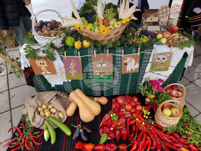 ХИНА: Производството на зеленчуци в Хърватия се e увеличило през 2025 г., а на плодове е намаляло