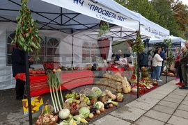 Кюстендил - „Празник на плодородието“