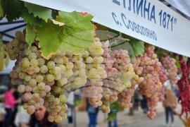 Кюстендил - „Празник на плодородието“