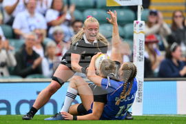 RWC New Zealand France Rugby