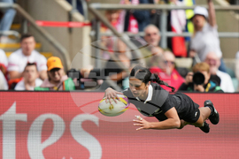 APTOPIX RWC New Zealand France Rugby