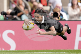 RWC New Zealand France Rugby