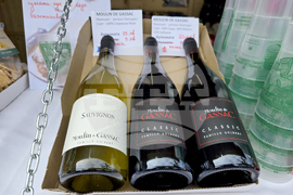 Ловеч - Фестивал на побратимените градове и приятели