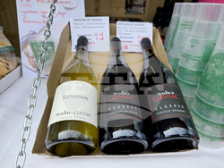 Ловеч - Фестивал на побратимените градове и приятели