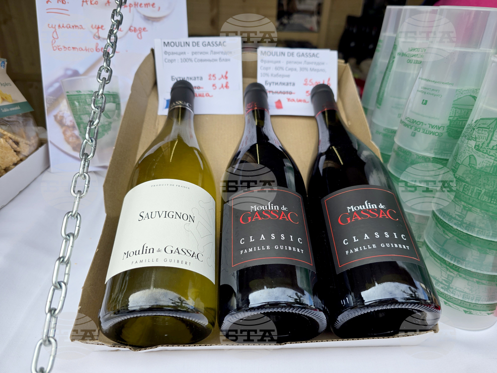 Ловеч - Фестивал на побратимените градове и приятели