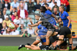 RWC New Zealand France Rugby