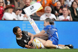 RWC New Zealand France Rugby