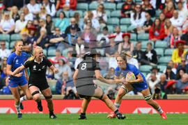 RWC New Zealand France Rugby