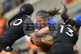 RWC New Zealand France Rugby