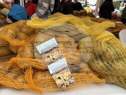 Самоков - Фестивал на самоковския картоф