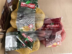 Самоков - Фестивал на самоковския картоф