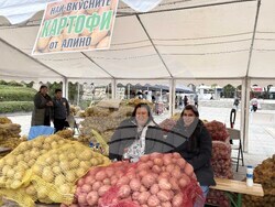 Самоков - Фестивал на самоковския картоф