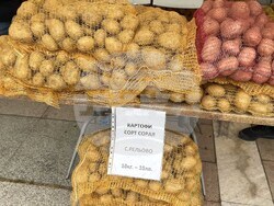 Самоков - Фестивал на самоковския картоф