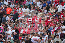 RWC England Canada Rugby