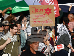 Germany Palestinians