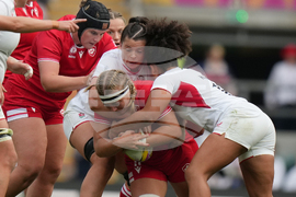 RWC England Canada Rugby