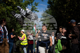 Hungary Orban Estate