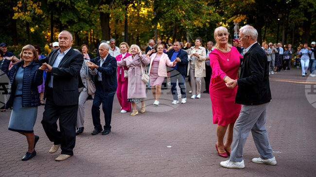 Социалните връзки намаляват риска от депресия сред възрастните хора, смятат австралийски учени