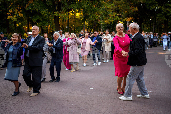 Социалните връзки намаляват риска от депресия сред възрастните хора, смятат австралийски учени