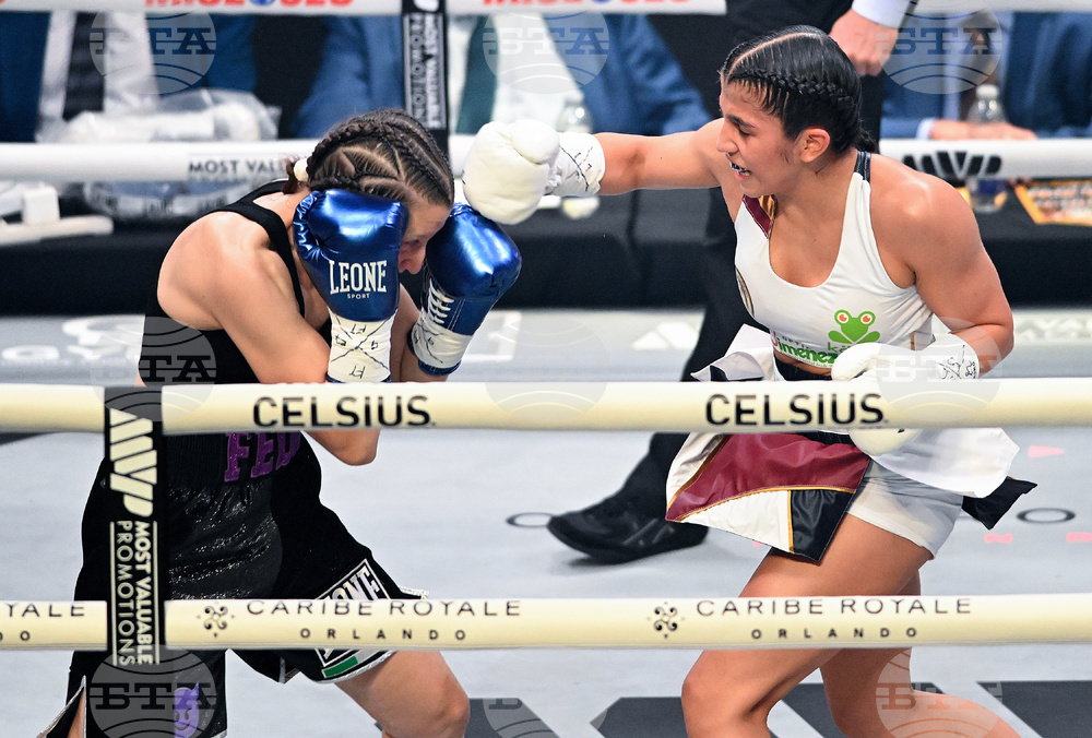 Canada Clavel Cudos Boxing