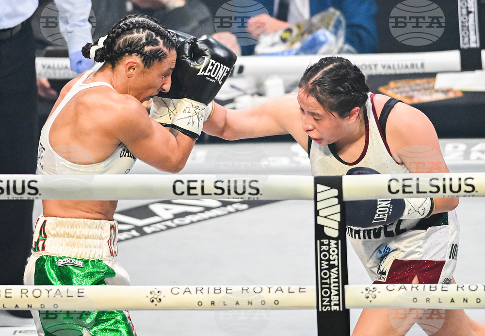 Canada Clavel Cudos Boxing