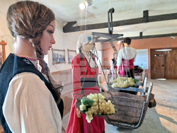 Село Могилово - винарна „Мидалидаре Естейт“