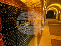 Село Могилово - винарна „Мидалидаре Естейт“